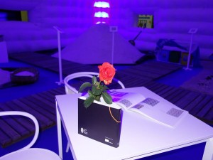 12027608_1659496580964236_4445499369455313352_n