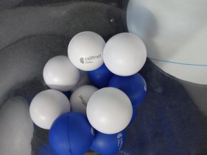 12049311_1659495220964372_3117648002524370014_n